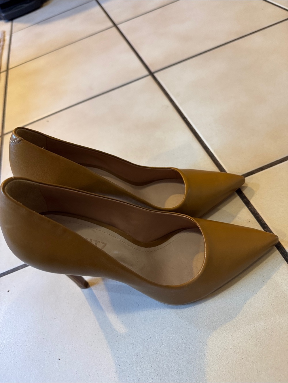 These are Schutz Lou pumps featuring a pointed toe and stiletto heel.
